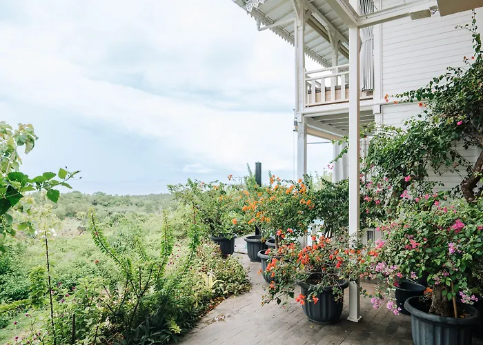 Mambo Hill Resort